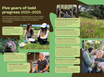 Impact Report 2025