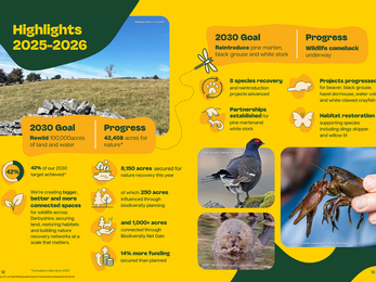 Infographic report page titled "Highlights 2025-2026" showing environmental goals and progress, with images of a wild landscape, a black grouse, a beaver, and a crayfish.