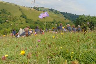 Preistcliffe Lees in Derbyshire's Wye Valley, Kaite Helps