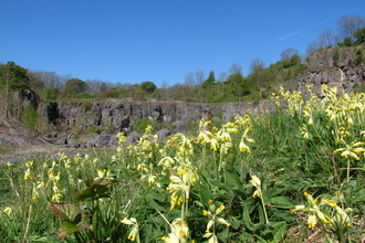 Chee Dale quarry, Shoshanah Crookes