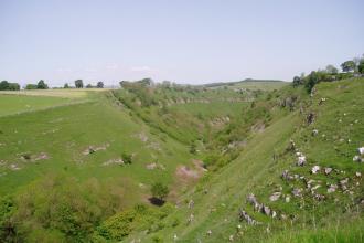 Deep Dale, Derbyshire Wildlife Trust 