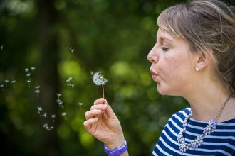 Blowing dandelion, Matthew Roberts