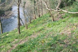 Derwentside, Derbyshire Wildlife Trust