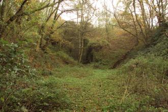 Duckmanton Railway Cutting, Derbyshire Wildlife Trust 