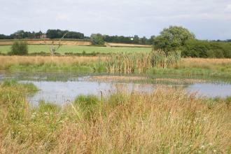 Erewash Meadows, Kate Lemon 