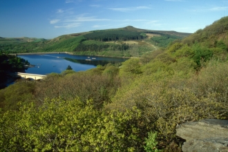 Ladybower Wood, Mark Hamblin