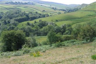 Long Clough, Sam Willis
