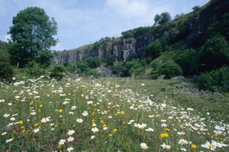 Miller's Dale Quarry, Mark Hamblin