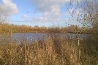 Witches Oak Water, Derbyshire Wildlife Trust