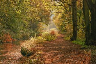 Cromford Canal, Ian Wilson