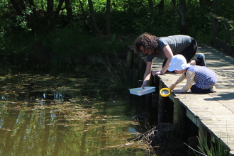 Pond dipping, Sarah Watson 