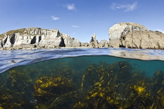 Undersea landscape, Lundy - Alexander Mustard2020Vision