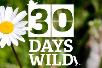 30 days wild