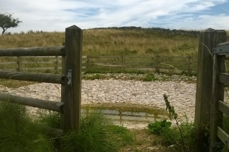 Chee Dale Dew Pond