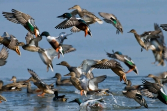 Shovelers by Bertie Gregory 2020VISION.JPG