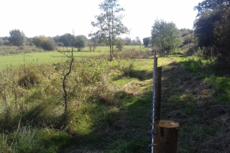 Erewash Meadows new fencing