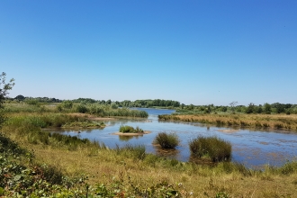 Willington Nature Reserve by George Bird