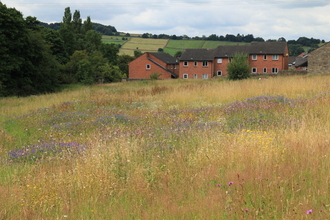 Belper Coppice