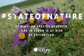 State of nature infographic