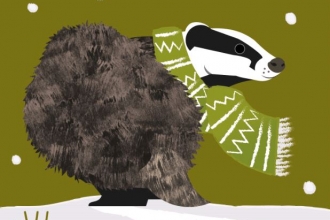 Badger (c) Rachel Hudson