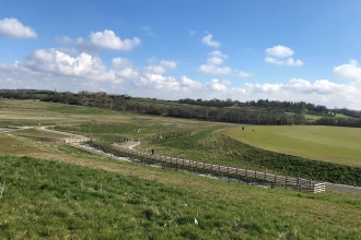 The Avenue Country Park