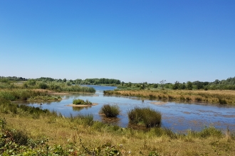 Willington Nature Reserve