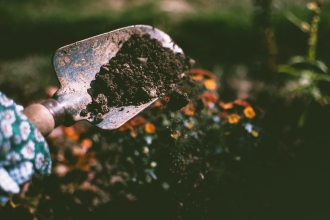 social isolation gardening