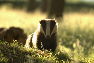 News Derbyshire Wildlife Trust