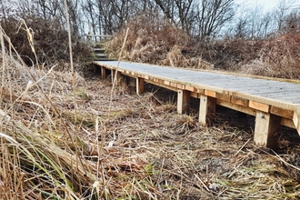 Avenue Washlands boardwalk