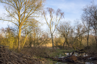 Hilton Gravel Pits Local Nature Reserve, Derbyshire Wildlife Trust © Steven Cheshire, Transforming the Trent Valley 2021 - 2021