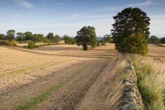 Farming