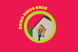 Bring Birds Back - Team Wilder