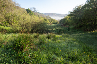 Wild Peak, Peak District, Thornhill