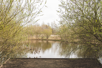 Derwent Meadows pond