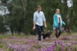 couple walking