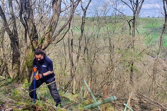 Tree Planting