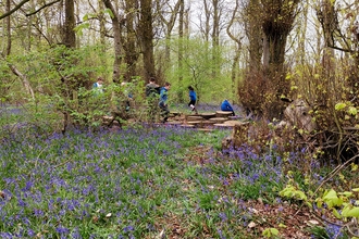 Bramley Vale School Woods Green Influencers