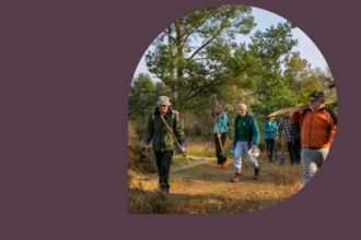 a group of people walking through a field with rakes 