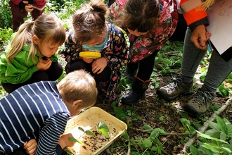 children pond dipping