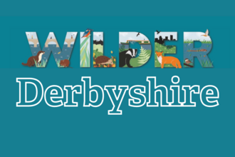 wilder derbyshire