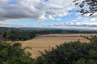 view of whittington