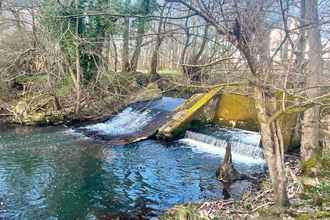 Ecclesbourne River Weir