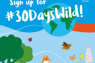 sign up for 30 days wild