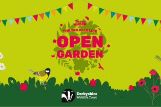 the big wildlife open garden