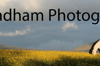 Photography by Guy Badham logo