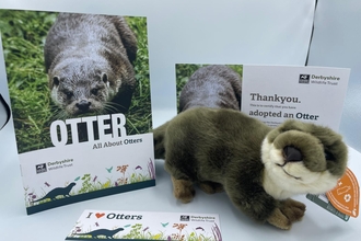 An otter information booklet, adoption certificate, bookmark, and otter cuddly toy