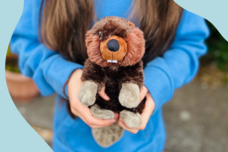 a beaver cuddly toy being held in two hands