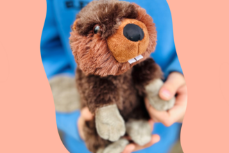 a cuddly beaver teddy held in two hands