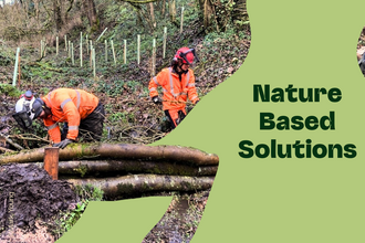 Nature based solutions