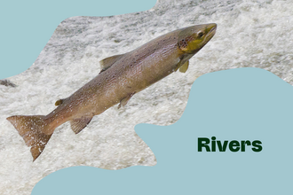 rivers